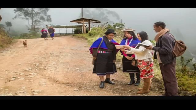 Field Service Assignments Review for October 30-November 5 2023 (Practical Consideration) смотреть онлайн