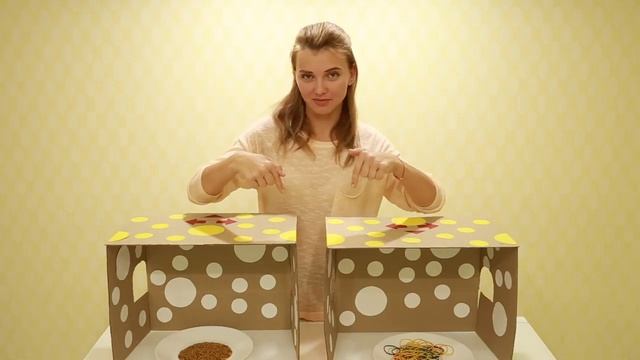 УГАДАЙ, ЧТО В КОРОБКЕ! ШОК ЧЕРВИ И ОПАРЫШИ!!! СОНЯ РАЗДАВИЛА ЧЕРВЕЙ! смотреть онлайн