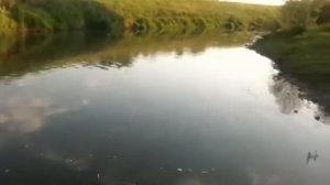 Река Шат Просто красиво