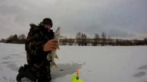 Первый лёд с жерлицами Акара
