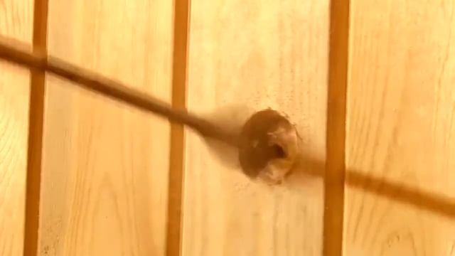 Установка теплообменника в банную печь. Монтаж выносного бака