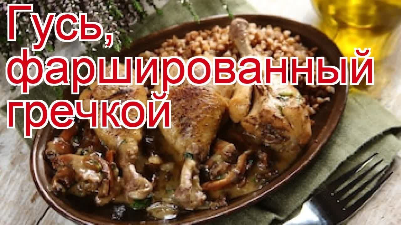 Рецепты из гуся - как приготовить гуся дикого пошаговый рецепт - Гусь, фаршированный гречкой
