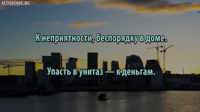 К чему снится Унитаз сонник, толкование сна смотреть онлайн