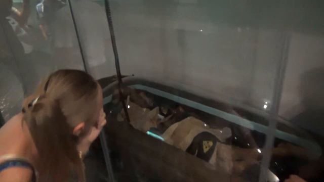 Укокская Принцесса / Алтайская принцесса