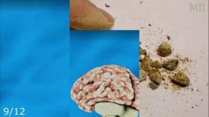 МАРГЕЛАНСКАЯ РЕДЬКА - ПОЛЬЗА И ВРЕД (ПОДАРОК ИЗ УЗБЕКИСТАНА)