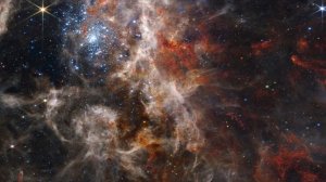 TARANTULA NEBULA: Deep space ambient music to drift through