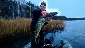 Рыбалка на Балтийском море Выборгский залив, щука на спиннинг