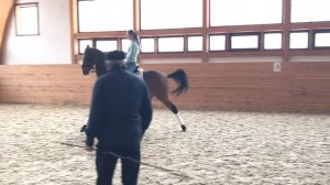 Уроки Угрюмова. Аскер. Подготовка к пассажу и пиаффе.