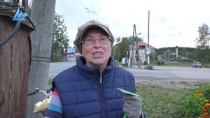 Волонтеры Ляскеля украшают поселок