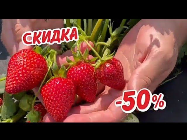 Рекламный блок ОТВ ЧЕЛЯБИНСК 14.06.2024 смотреть онлайн