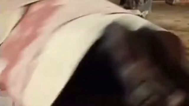 вот как на самом деле делают шаурму! смотреть онлайн