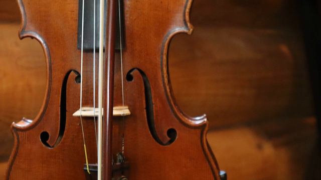 violin: bach sample смотреть онлайн