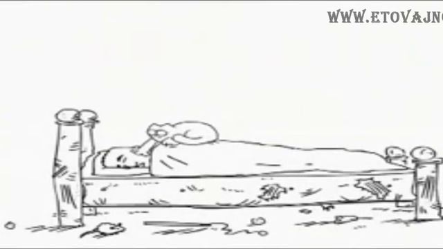 Чем занимаются кошки, пока мы спим. смотреть онлайн