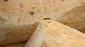 Рубленные дома - Канадская рубка из Кедра