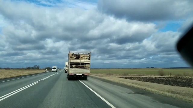 Шкода Октавия А7!!! Возвращаемся из Новополянья в Москву. смотреть онлайн