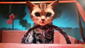 Песня кошек года