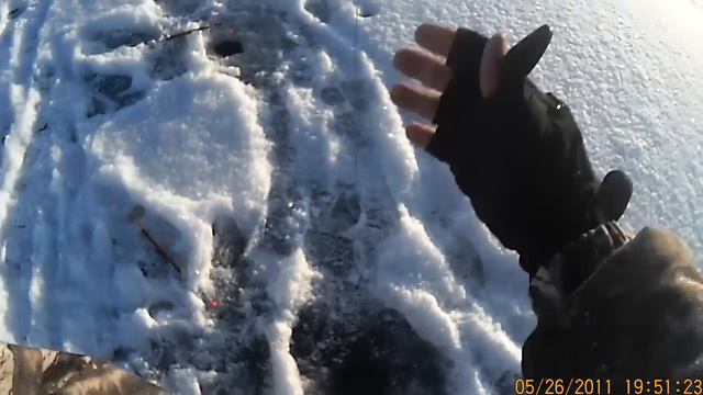 Физкультурная рыбалка (бег и баскетбол) смотреть онлайн