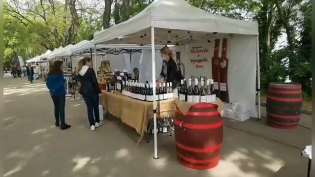 #vlog Жизнь в Болгарии. Обувь для здоровья. Цветы для релакса. Как работает YouTube смотреть онлайн