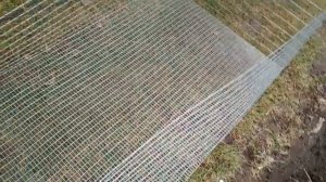 Кролики в теплице 2 й сезон ! Начало !!!