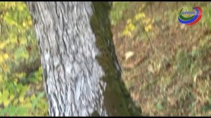 Табасаранская 14 01 19 - Народная песня