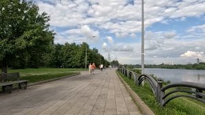 Многодетная мать приютила тракториста с псом и убедила стать мужем на месяц… А выглянув утром в окн
