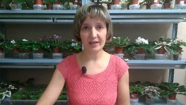 Фитильный полив. Очевидные преимущества метода