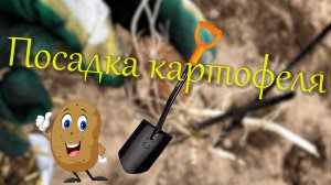 Посадка картофеля.mp4