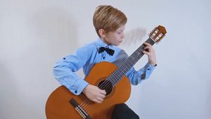 Зелень лета