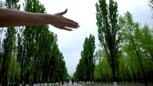 «Пульс Добра»