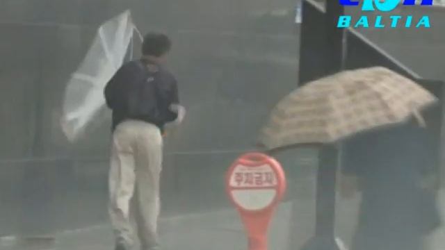 TBN Baltia "Тайфун Санба" смотреть онлайн