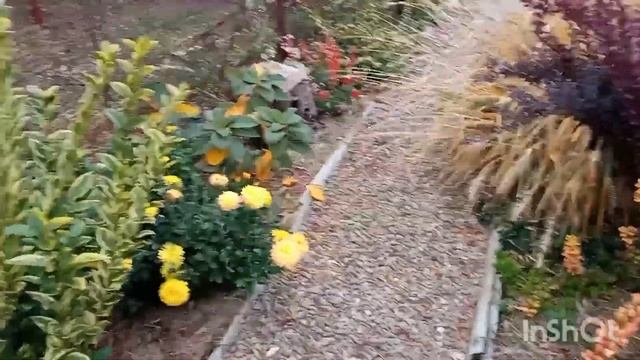 Готовим землю для цветов с осени/Наш южный сад 27 октября/Клубника зреет/ смотреть онлайн