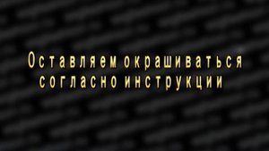 Покраска натурального парика