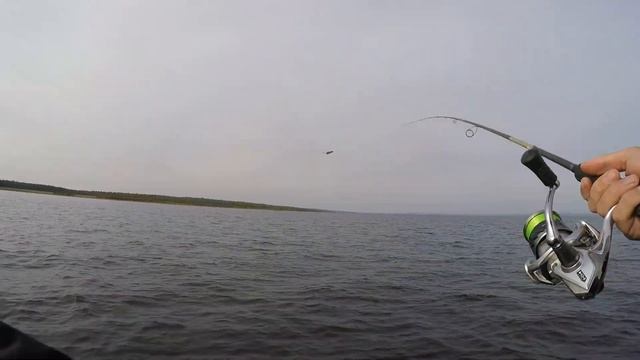 РЫБАЛКА С НОЧЕВОЙ ОСЕНЬЮ! смотреть онлайн