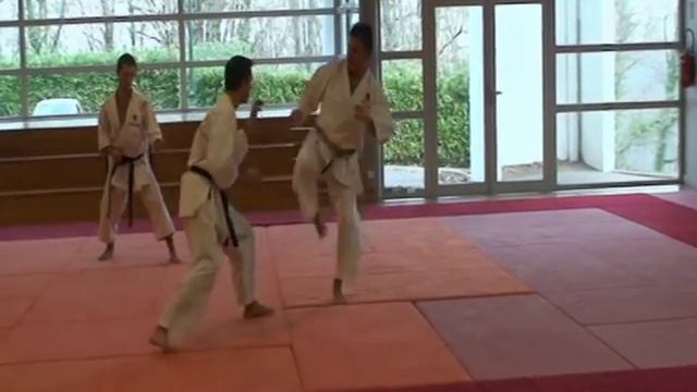 JYU IPPON KUMITE Karate Shotokan Traditionnel Bernard Miollan 6Dan