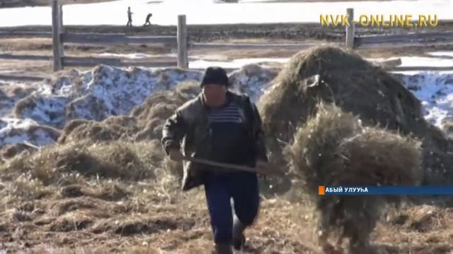 Абыйга тыа хаһаайыстыбата хайдах туруктааҕый? смотреть онлайн