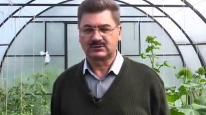 Система теплого пола для отопления в теплице.