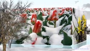 все повторится и первый снег и первый гром #песня #сваты ????????????