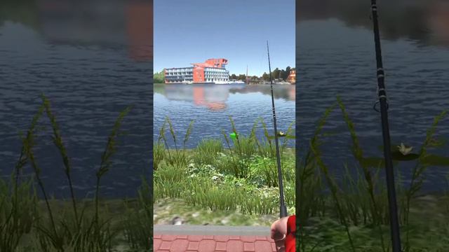 баг в игре Ultimate Fishing Simulator.