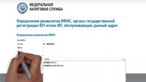Как узнать реквизиты налоговой, узнать адрес налоговой и записаться на прием