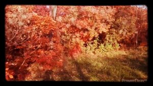 ой что то мы засиделись братцы!!!