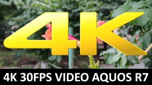 4K 30fps видео на камеру Sharp AQUOS R7