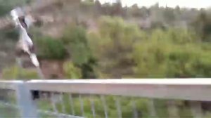 ПОДВЕСНОЙ МОСТ!!!.mp4