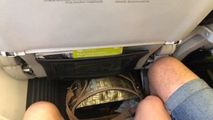 Перелёт с собакой в салоне s7