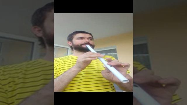 пластиковая флейта две октавы