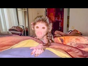 Люська проснулась в ПЯТЬ УТРА и очень мило просит кашу)))