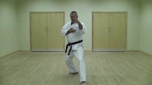 Wado Ryu Karate Kata Pinan Shodan