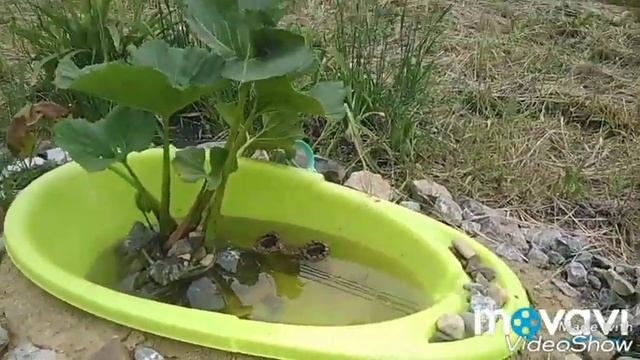 Экологическая тропа