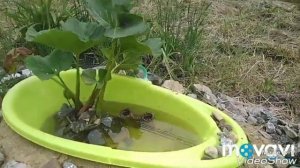 Экологическая тропа