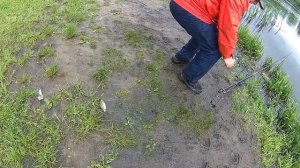 Рыбалка  в Москве