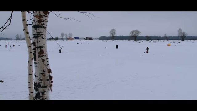 "Красивая Земля".  Зимняя рыбалка в коттеджном поселке «Южные озера-2»: форель, щука, карп...